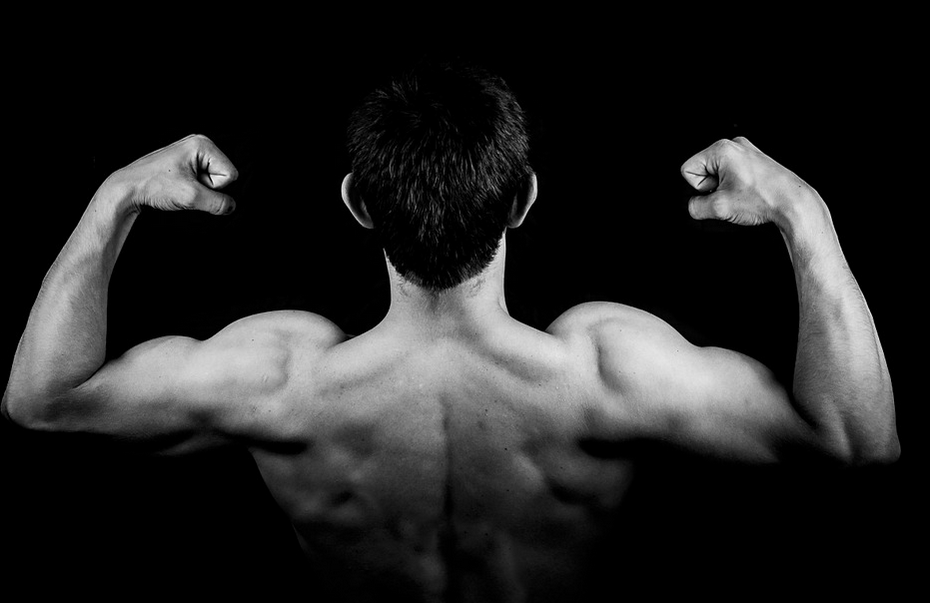 muscle gain