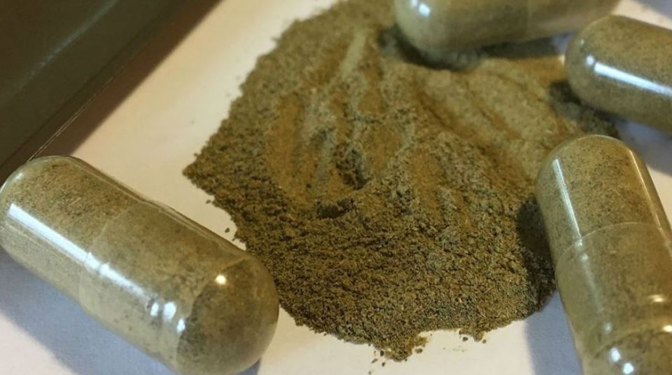 kratom powder